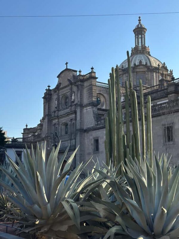 Mexico City: Downtown Walking Tour, a view from the past to the present - Explore Mexico City’s Historic Heart in a Flexible 4-Hour Tour