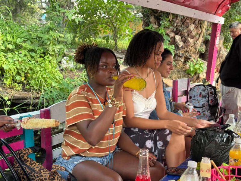 Mexico City: Expert-Guided Boat Tour with Lunch and Drinks - Indulge in Mexican Food and Flavored Pulque