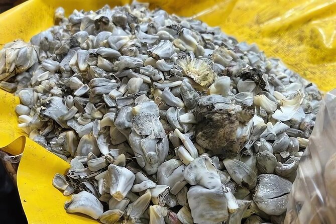 Mexico city: Exploring Mystic Markets La Merced & Sonara - Sweet Tasting at Pastelería Madrid