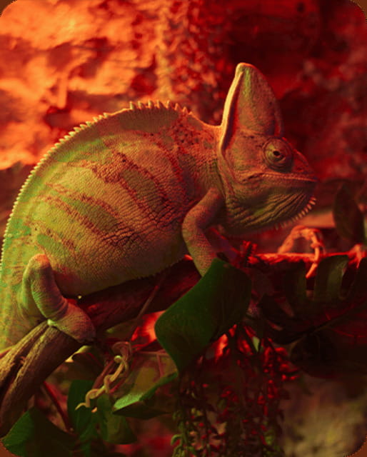 Mexico City: Fast Pass Ticket to Acuarium Inbursa - Key Points