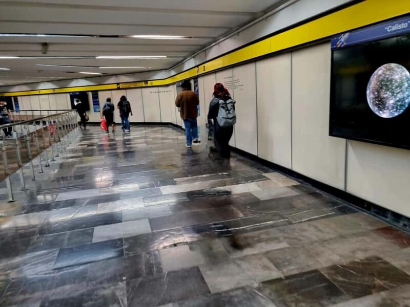 Mexico City: Fine Arts, Alabama Park, Science Museum Tour. - Key Points