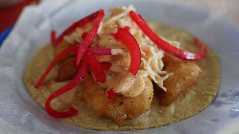 México City: Food Tour, home made food (mi casa es tu casa) - Frequently Asked Questions