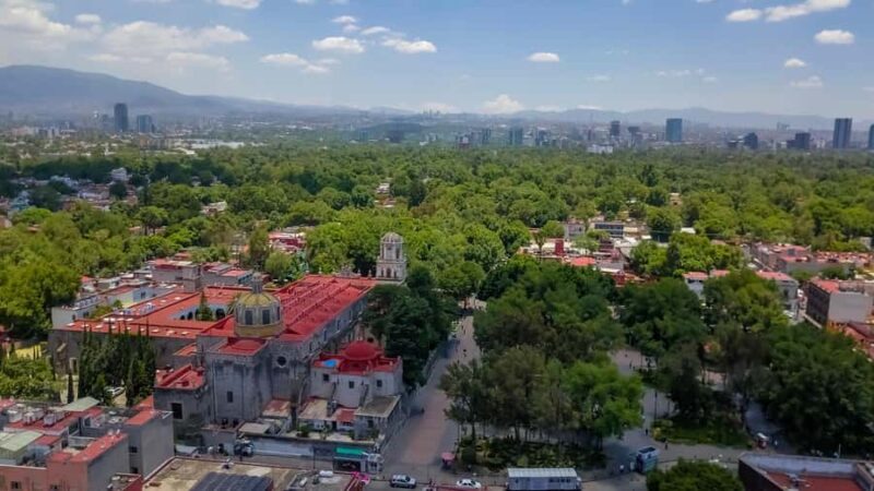Mexico City: Frida Kahlo City Tour, with optional museum and Xochimilco - Overall Value and Suitability