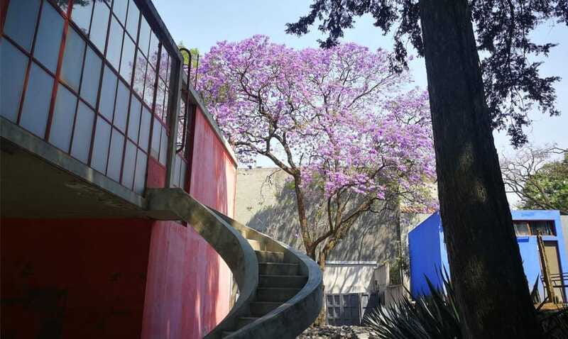 Mexico City: Frida Kahlo-Diego Rivera Studio House Tour - The Art and Artifacts Inside the Studio House