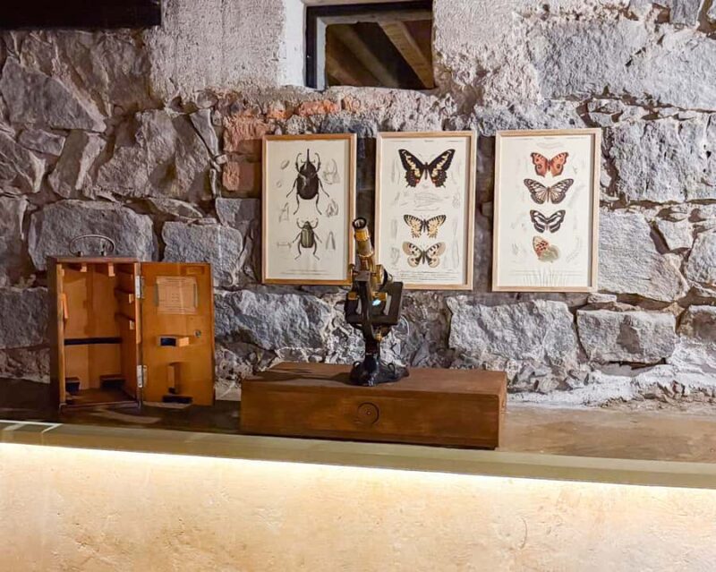 Mexico City: Frida Kahlo Museum or Casa Kahlo Entry - The New Casa Kahlo Museum: Personal History and Cultural Roots