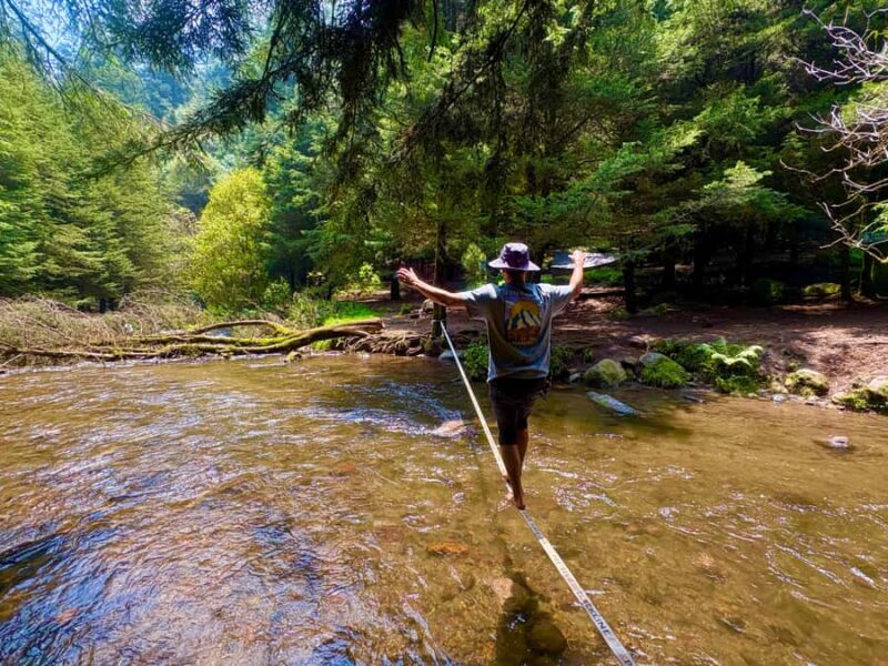 Mexico City: Guided Hike in the Dinamos Forest - Key Points