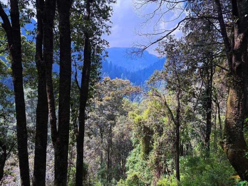 Mexico City: Guided Hike in the Dinamos Forest - The Unique Geological Feature: Rocks That Drink Water
