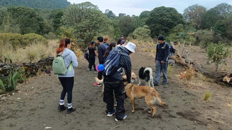 Mexico City: Guided Tour of the Caves of an Inactive Volcano - Discovering the Volcanic Caves of Xitle