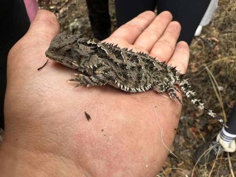 Mexico City: Guided Tour of the Caves of an Inactive Volcano - Flexibility and Booking Options