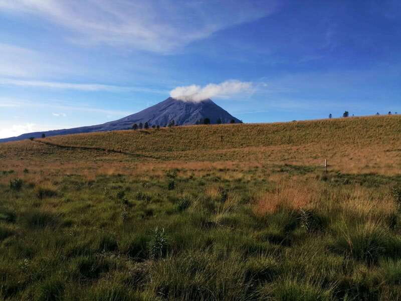 Mexico City: Guided Volcano Trek with Lunch - Encountering Native Flora and Fauna in Amalacaxco Ravine