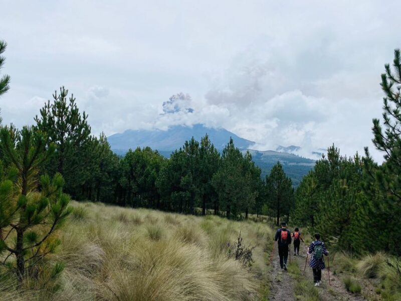 Mexico City: Guided Volcano Trek with Lunch - Returning to Paso de Cortes and The Traditional Market Lunch