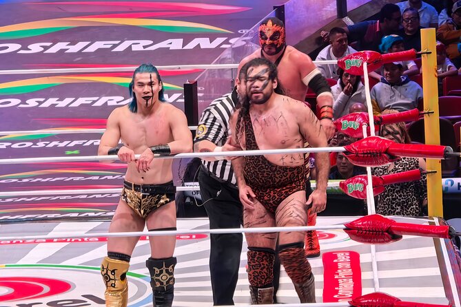 Mexico City: Guided Wrestling Tour with Show and Coffee Route - Exploring Colima 71 Casa de Arte Hotel and Its Unique Art Installations