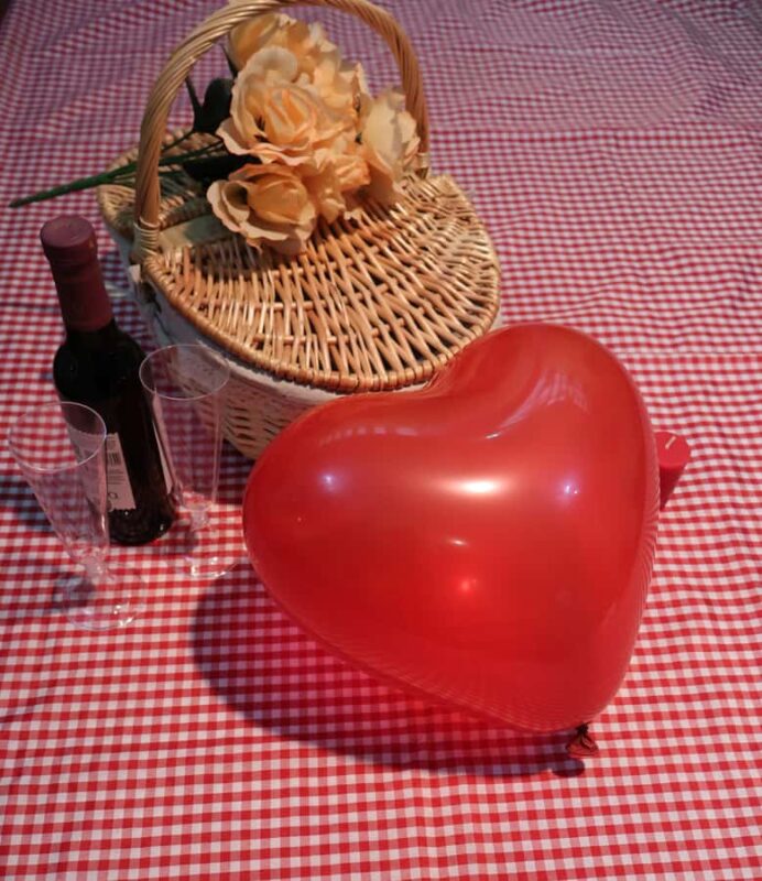 Mexico City: Hassle Free and ready to use Picnic Experience - Ideal for Celebrations and Outdoor Relaxation