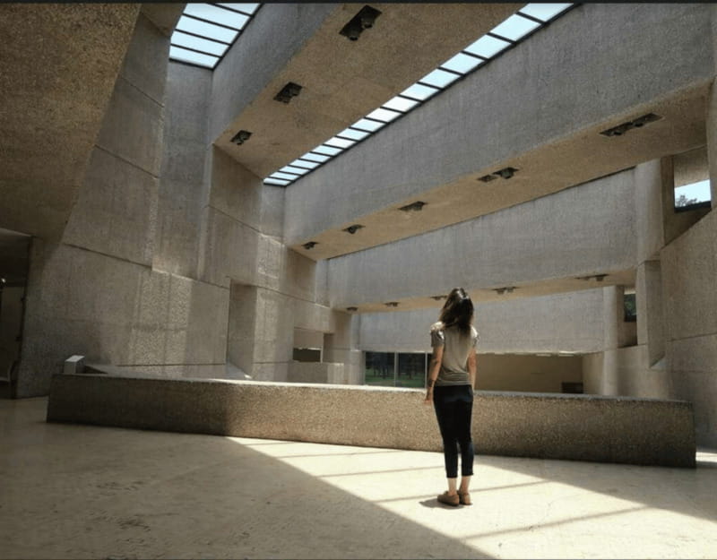 Mexico City Hidden Arts Tour (Private & All-Inclusive) - Palacio de Bellas Artes: Architectural and Artistic Masterpiece