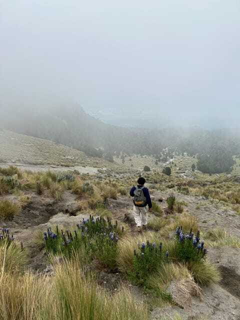 Mexico City: Hiking to la Malinche private day tour - The Experience at La Malinche National Park