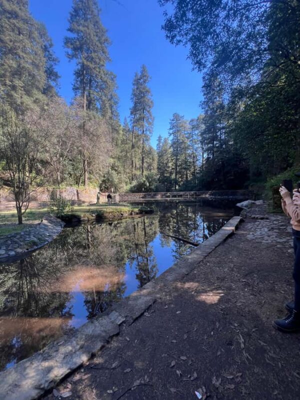 Mexico City: Hiking tour to the Desert of the Lions - Key Points