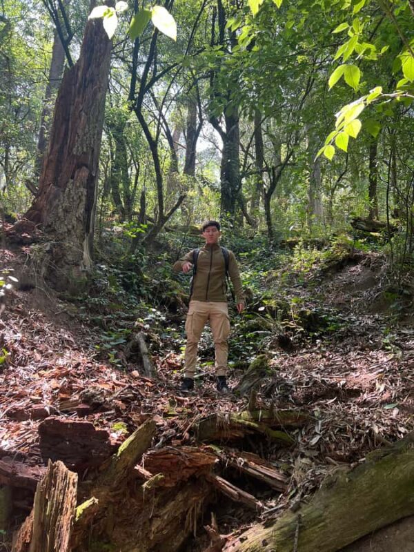 Mexico City: Hiking tour to the Desert of the Lions - Accessibility and Physical Requirements