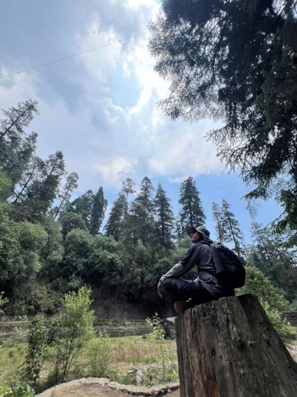 Mexico City: Hiking tour to the Desert of the Lions - Why Choose This Tour?