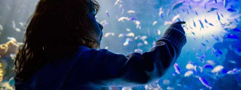 Mexico City: Inbursa Aquarium optional Round trip transfer - Who Will Enjoy This Tour Most?