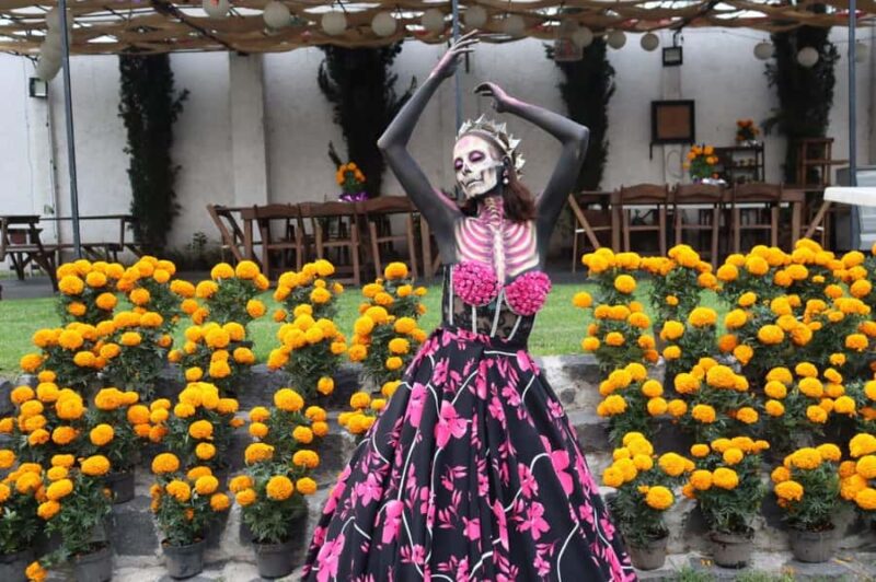 Mexico City: Kayak Experiences in Hidden Xochimilco - Visiting La Luz Ranch and Its Stables