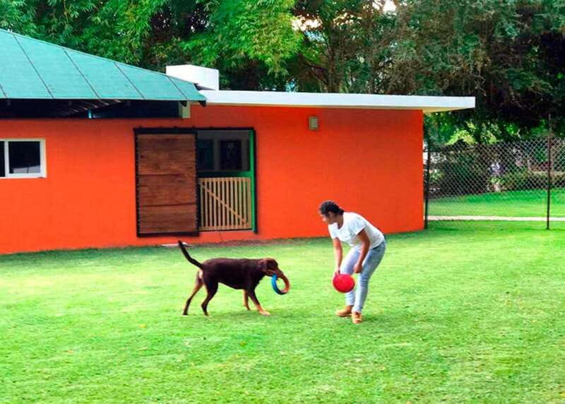 Mexico City: Las Estacas Natural Park Private Tour - Dining Options and Refreshments at Las Estacas