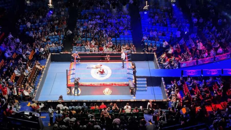 Mexico City: Lucha Libre, Mezcal, Tequila, and Live Show Tour - What Sets This Tour Apart