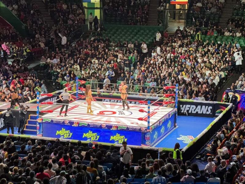 Mexico City: Lucha Libre Show with Hotel Pickup - Risks and Downside Considerations