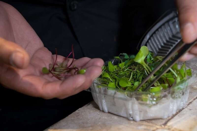 Mexico City: Mexican Cooking Class - Who Will Enjoy This Class Most