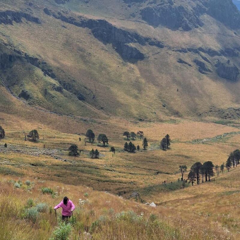 Mexico City: Mipulco Waterfalls Private Trekking Tour - Navigating the High-Altitude Forests Near Iztaccíhuatl