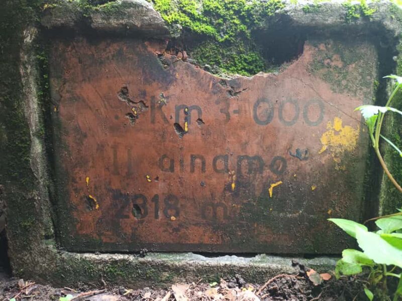 Mexico City: Morning Hiking at Mirador Coconetla - Key Points