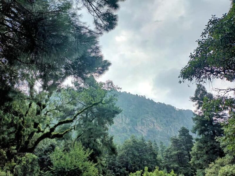 Mexico City: Morning Hiking at Mirador Coconetla - Reaching Mirador Coconetla: The Panoramic Viewpoint