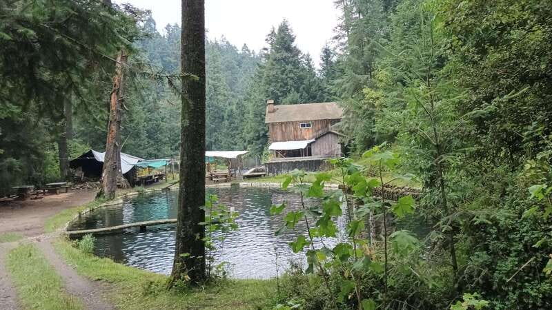 Mexico City: Morning Hiking at Mirador Coconetla - Practical Tips and Requirements for Participants