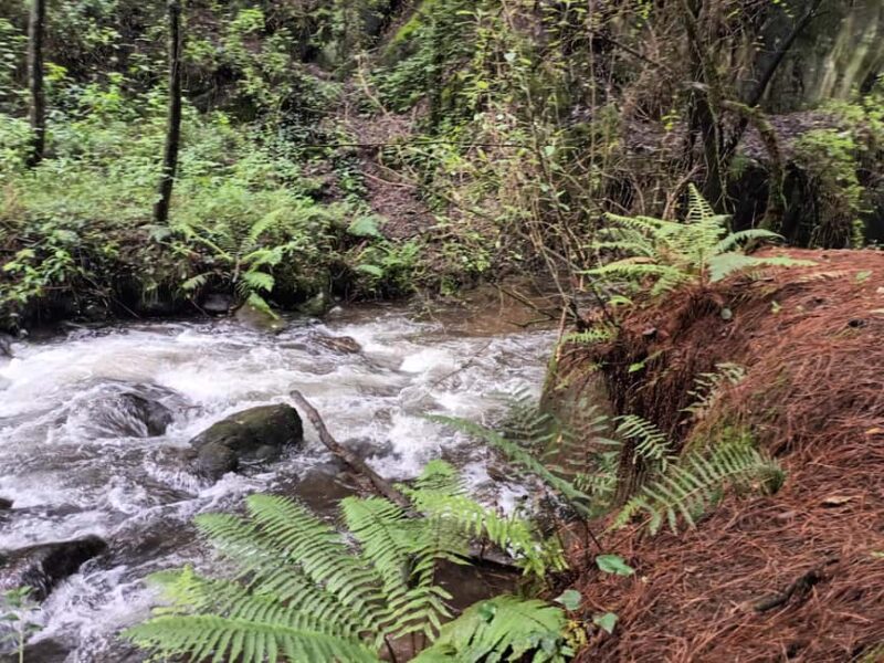 Mexico City: Morning Hiking at Mirador Coconetla - Comparing this Tour to Other Mexico City Excursions