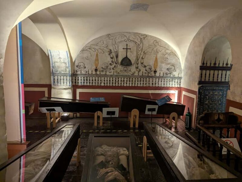 Mexico City: Museum of El Carmen Tour with Ticket - Key Points