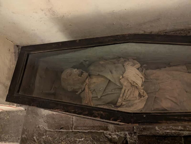 Mexico City: Museum of El Carmen Tour with Ticket - Exploring the Historic Museo del Carmen in Mexico City