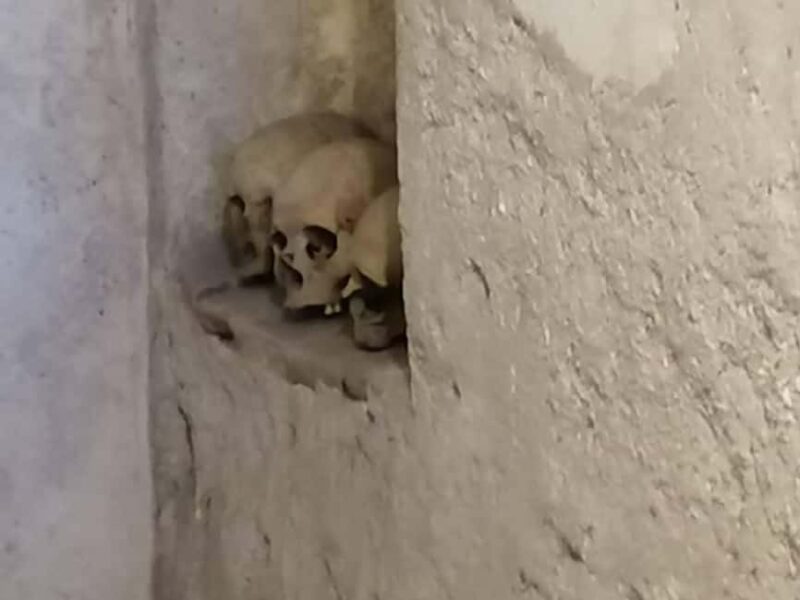 Mexico City: Museum of El Carmen Tour with Ticket - The Tour’s Path: From the Museum to the Monument