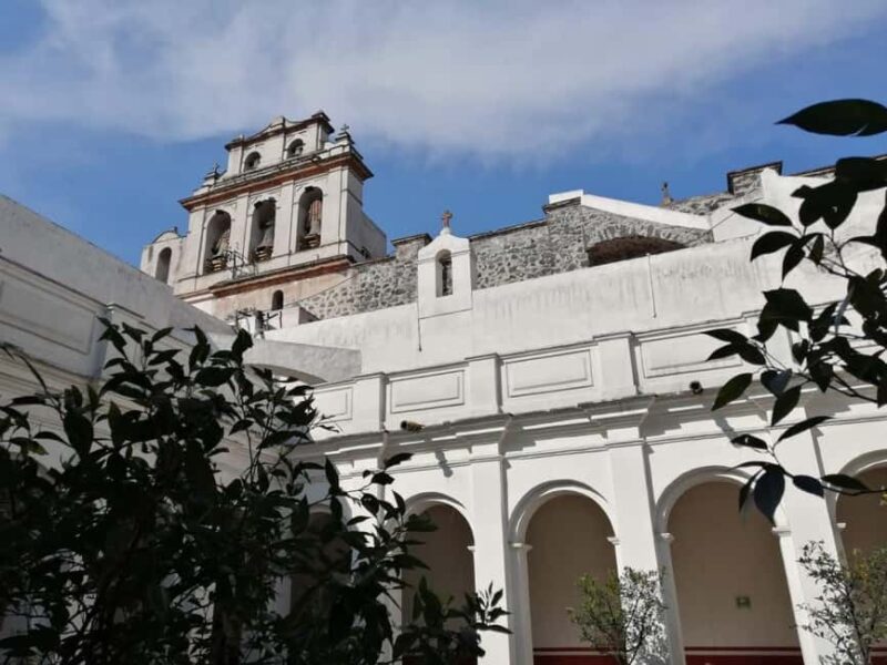 Mexico City: Museum of El Carmen Tour with Ticket - Final Thoughts on the Museum of El Carmen Tour