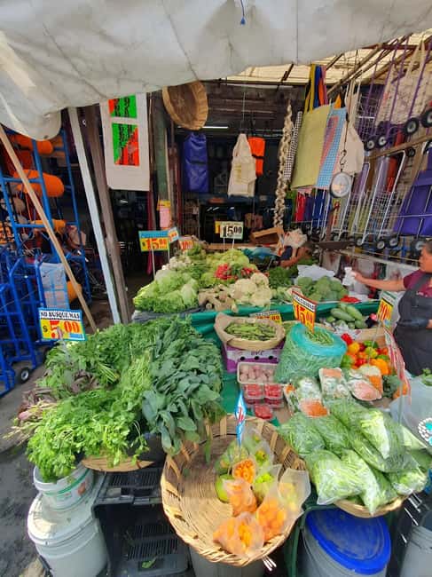 Mexico City: Mystic Markets La Merced & Sonora Culinary Tour - Who Will Enjoy This Tour?