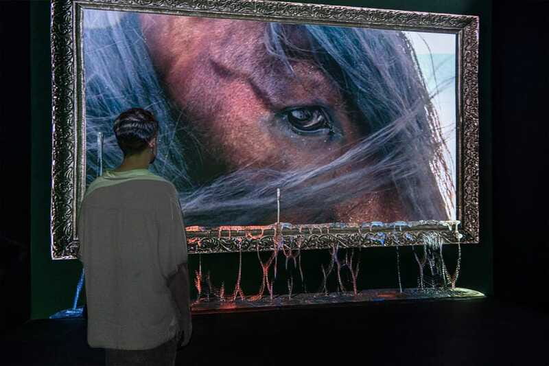 Mexico City: "Mystika". Relaxation experience. - The Experience of Horses’ Healing Power