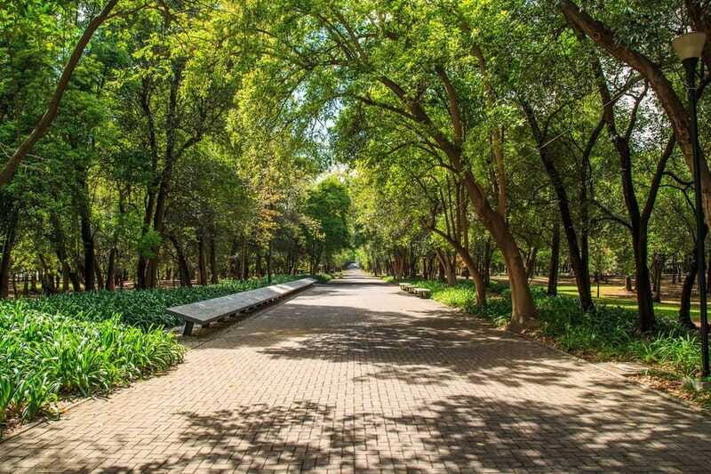 Mexico City: Private Bike Tour of Chapultepec Forest - Practicalities of the Tour Experience