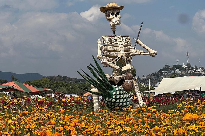 Mexico City Private Day of the Dead Tour Valle de Catrinas - The Guide’s Role in Explaining the Traditions