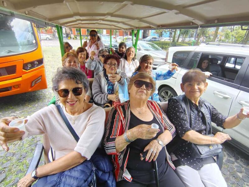 Mexico City: San Ángel Experience with Electric Ecobus - Practical Details and Logistics