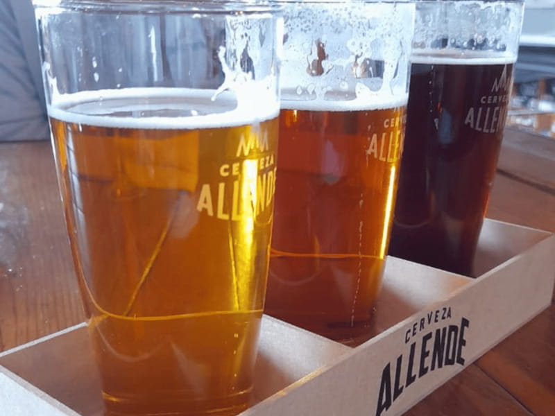 Mexico City: San Ángel Magical Mexican Food Tour - Accessibility and Suitability