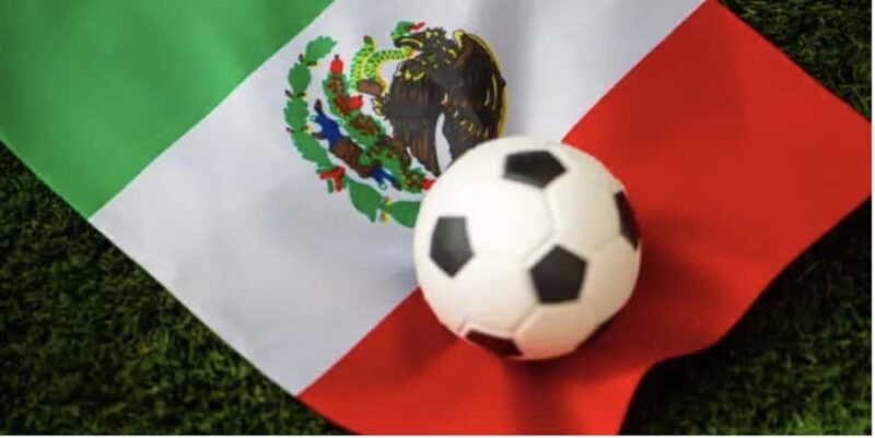 Mexico City Soccer Stadium Sightseeing & Street Food Tour - Practical Details and Tips for This Tour