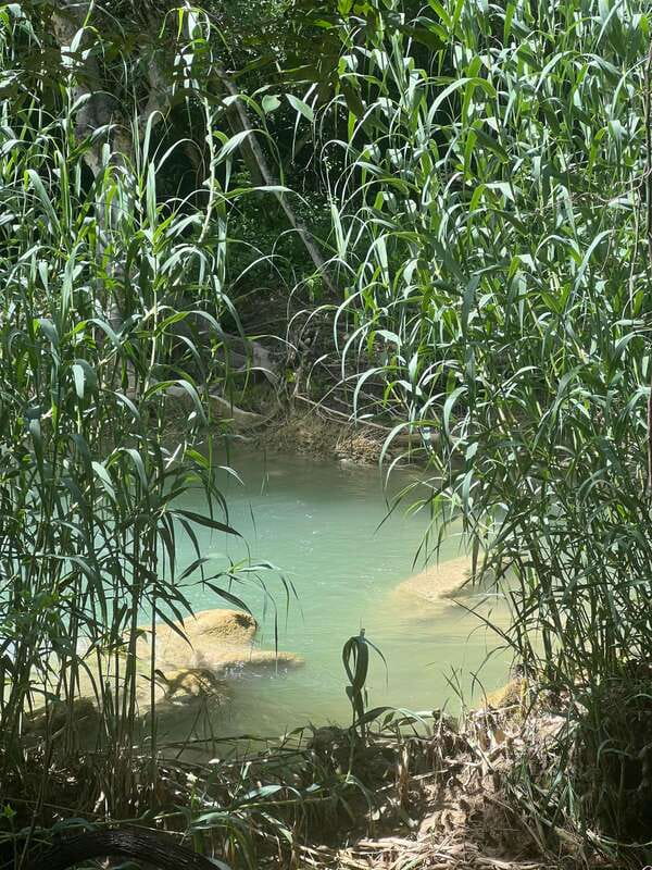 Mexico City: Taxco Thousand Waterfalls - Natural Water Park - Key Points