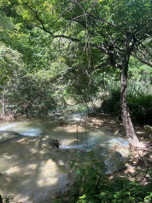 Mexico City: Taxco Thousand Waterfalls - Natural Water Park - Why Choose This Tour?