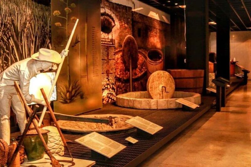 Mexico City: Tequila and Mezcal Museum Ticket with Tastings - What the Guided Tour Covers in the Museum