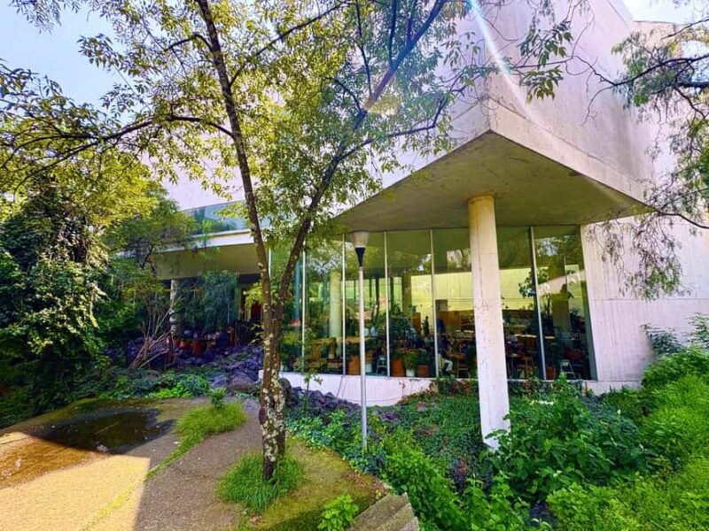 Mexico City: UNAM Campus walking Tour with Guide - Visiting the Central Library: A Modernist Icon