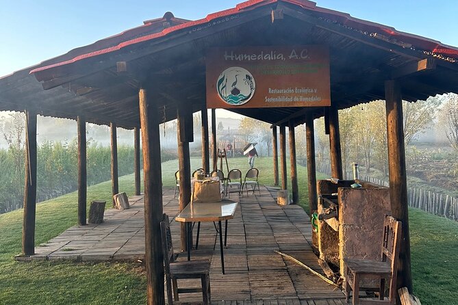 Mexico City: Xochimilco at sunrise + Breakfast and transportation - Unique Aspects Setting This Tour Apart