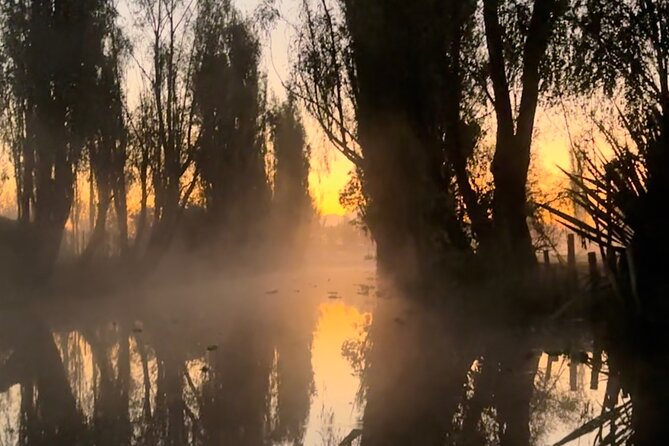 Mexico City: Xochimilco at sunrise + Breakfast and transportation - The Balance of Pacing and Physical Activity
